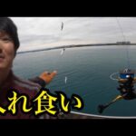 浜名湖海釣り公園でエサ無しサビキ釣り2025/05/27