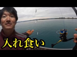 浜名湖海釣り公園でエサ無しサビキ釣り2025/05/27