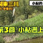 【小鮎釣り2025】第3回「小鮎遡上調査」、滋賀・湖東三川（芹川・犬上川・宇曽川）