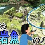【渓流釣り】尺岩魚に照準を定めて釣行してみた！〈2025年4月下旬〉