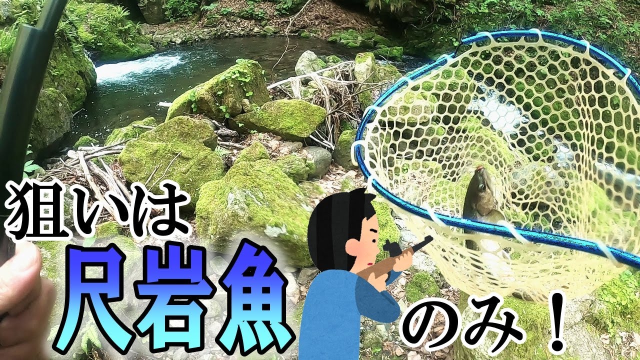 【渓流釣り】尺岩魚に照準を定めて釣行してみた!〈2025年4月下旬〉