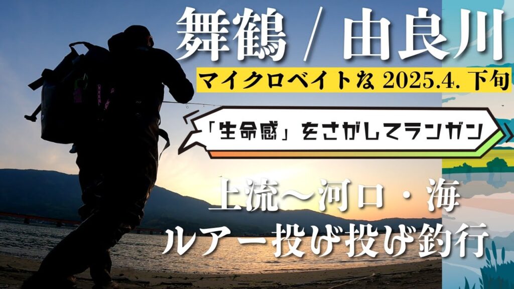 【舞鶴・由良川】生命感を探して上流～河口までランガン（シーバス/マゴチ/チヌ ）[2025年4月下旬]