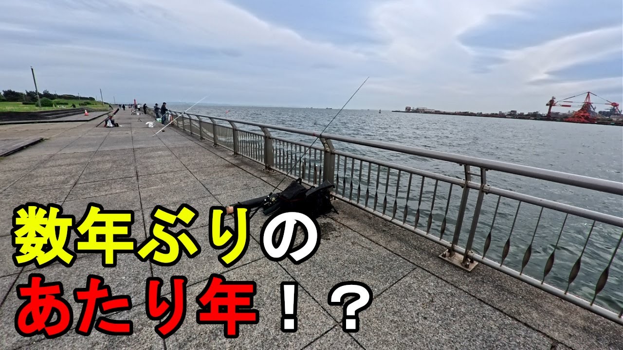【神奈川県某所】春の東京湾で高級食材が異常発生!?海釣りシーズン序盤の時期に、関東地方の東京湾側に面している釣り場で、とあるターゲットを狙ってルアー釣りをしてみたら…!【2025年4月下旬】