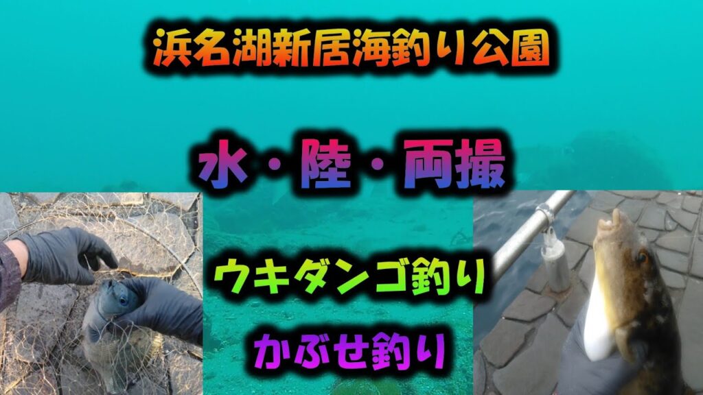 【浜名湖　釣り】2025年4月　浜名湖・新居海釣り公園での釣果＆水中映像