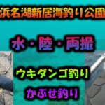 【浜名湖　釣り】2025年4月　浜名湖・新居海釣り公園での釣果＆水中映像