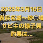 2025年5月　表浜名湖～砂○場　サビキの様子見釣行～🎵