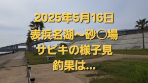 2025年5月　表浜名湖～砂○場　サビキの様子見釣行～🎵