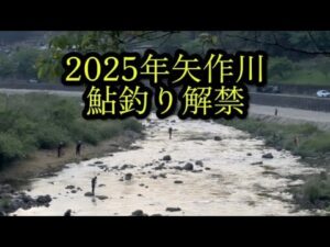 【鮎釣り】2025年5月11日矢作川鮎釣り解禁日