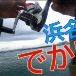 浜名湖　2025年5月12日　誰もいない網干場ポイントで釣ったよ