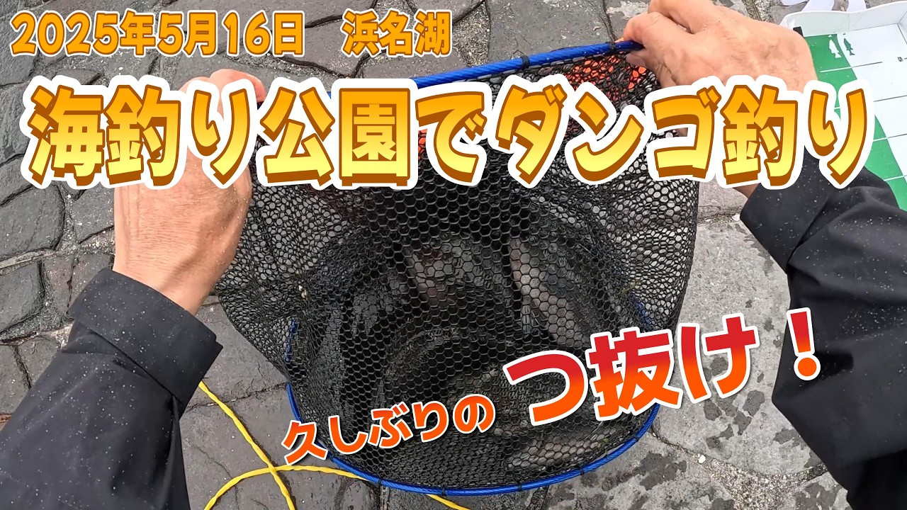 【浜名湖 釣り】2025年5月16日　浜名湖　海釣り公園でダンゴ釣り　久しぶりのつ抜け！