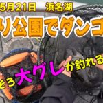 【浜名湖 釣り】2025年5月21日　浜名湖　海釣り公園でダンゴ釣り　そろそろ大グレが釣れる頃です