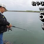 【釣り】千葉県旭市にある飯岡漁港に釣りに行ってきました。2025年5月24日より