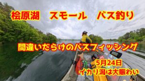 2025年5月24日　桧原湖　スモールマウスバス釣り　水温　風向きで釣り方を考えろ