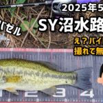 【釣行記⑮ 2025年5月25日】【ダイバゼル】肝心のバイトシーンがありません！短時間釣行でダイバゼルでグッドサイズ１本！ #バス釣り #bassfishing #ダイバゼル