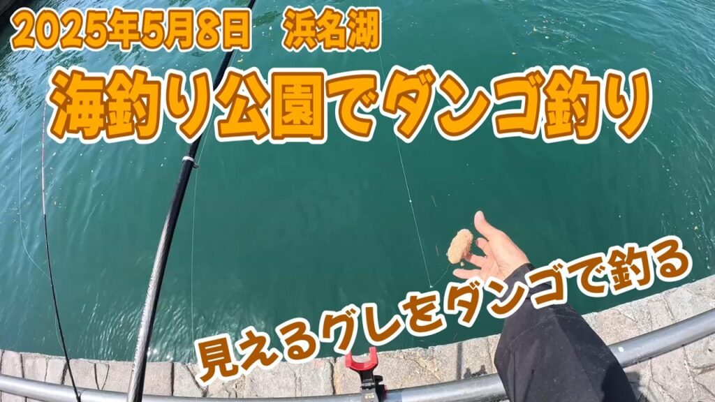 【浜名湖釣り】2025年5月8日　浜名湖　海釣り公園でダンゴ釣り　見えるグレをダンゴで釣る【ダンゴ釣り】