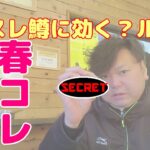 2025年TABIMASU BASE『春コレ』【管理釣り場】【エリアトラウト】