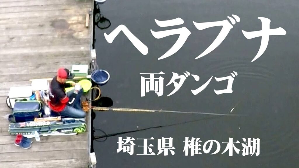 稲村順一がホーム・椎の木湖で夏のヘラブナ釣りを楽しむ 2/2 『ヘラブナギャラリー』【釣りビジョン】
