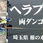 稲村順一がホーム・椎の木湖で夏のヘラブナ釣りを楽しむ 2/2 『ヘラブナギャラリー』【釣りビジョン】