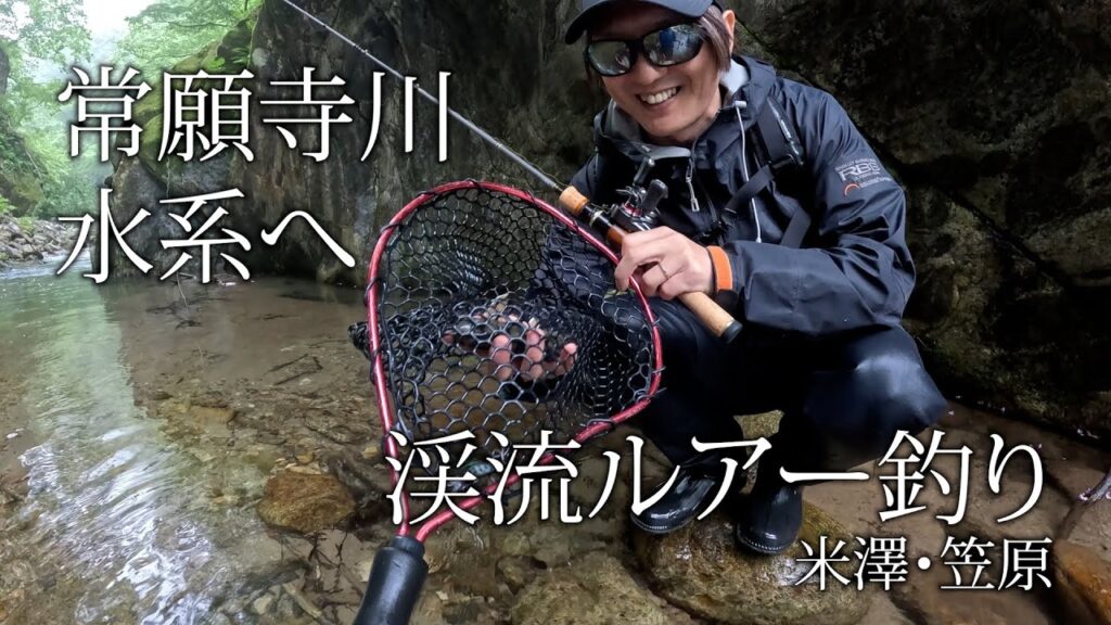 25 5 22 常願寺川水系へ渓流ルアー釣り
