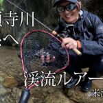 25 5 22 常願寺川水系へ渓流ルアー釣り