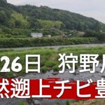 静岡県狩野川解禁3日目！