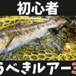 【渓流ルアー】持ってりゃ間違いないオススメルアーベスト3