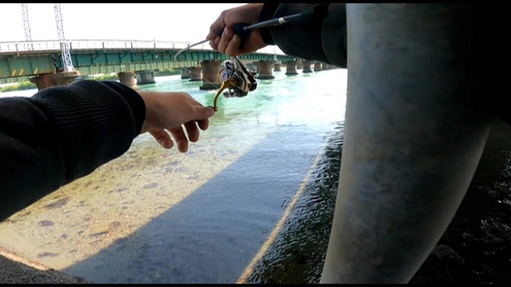 ［浜名湖］激流の水深30ｃｍを遊泳！？釣りあげてみる