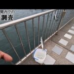直近最速本日浜名湖で制限時間30分釣りしたら何匹釣れるのか！【浜名湖釣り】🎣