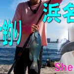 浜名湖でメジナ（グレ）のフカセ釣り。目標の40Cmを、、コマセのぬかを炒ってみました。