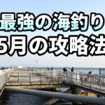 日本最強の海釣り公園とっとパーク。5月の狙いはコレだ！