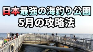 日本最強の海釣り公園とっとパーク。5月の狙いはコレだ！