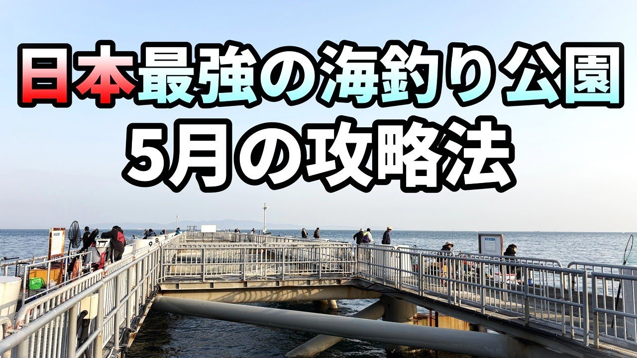 日本最強の海釣り公園とっとパーク。5月の狙いはコレだ!