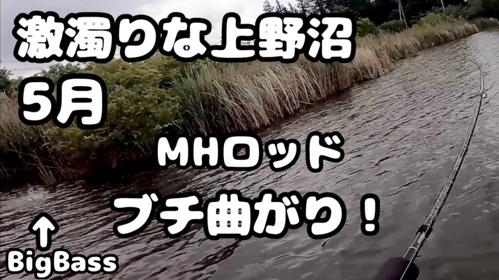 [バス釣り] 5月14日 激濁りな上野沼でBIG BASS降臨❗️こいつは…