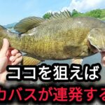 【川スモール】ココを狙うと釣れる！【5月】【6月】
