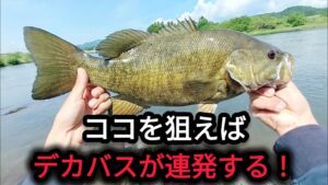 【川スモール】ココを狙うと釣れる！【5月】【6月】