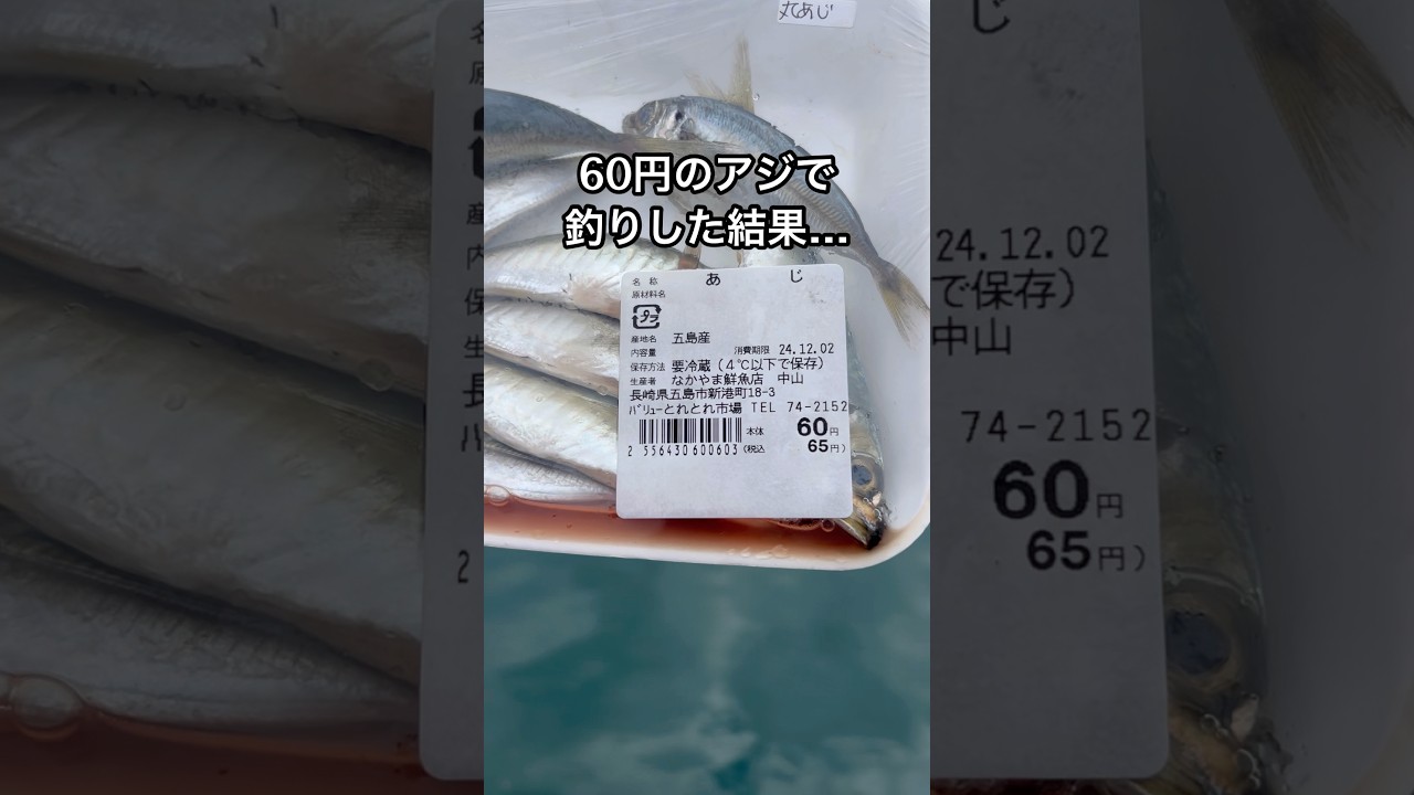 60円のアジを餌にしたら超高級魚が入れ食い…！VOICEVOX:ずんだもん #釣り