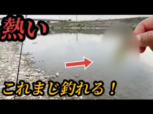 #62(関東バス釣り)このワームさえあれば池でも川でも釣れるわ!