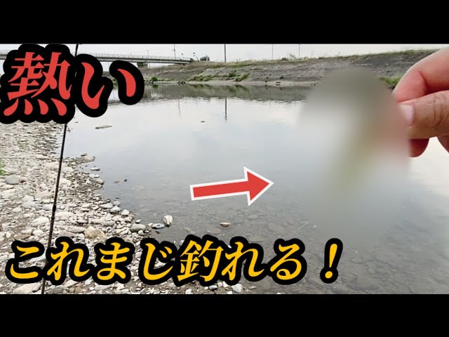 #62(関東バス釣り)このワームさえあれば池でも川でも釣れるわ!