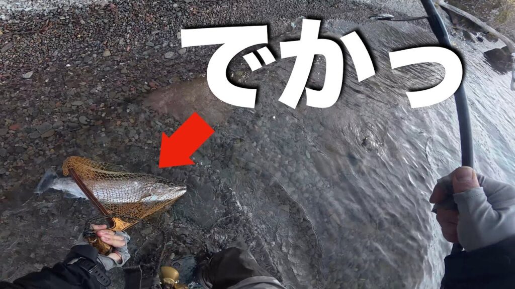 支笏湖で釣りしたらまさかの70オーバーのデカブラに出会った