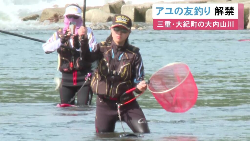 夜明けと共に釣り人が川へ…三重県大紀町の大内山川で“アユの友釣り”解禁 9m程ある長い竿で次々釣り上げる