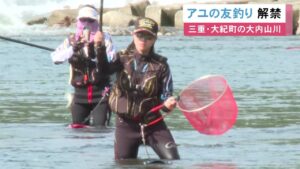 夜明けと共に釣り人が川へ…三重県大紀町の大内山川で“アユの友釣り”解禁 9m程ある長い竿で次々釣り上げる