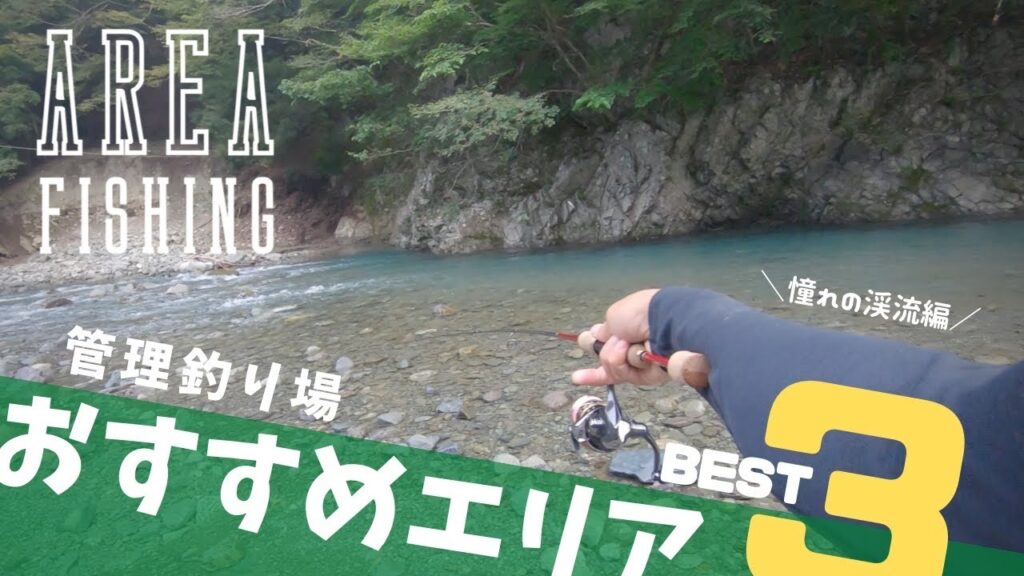 【Area Trout】関東おすすめ管理釣り場3選 憧れの渓流編【エリアトラウト】