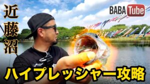 BABATube【近藤沼】群馬県陸っぱりフィールドを探索