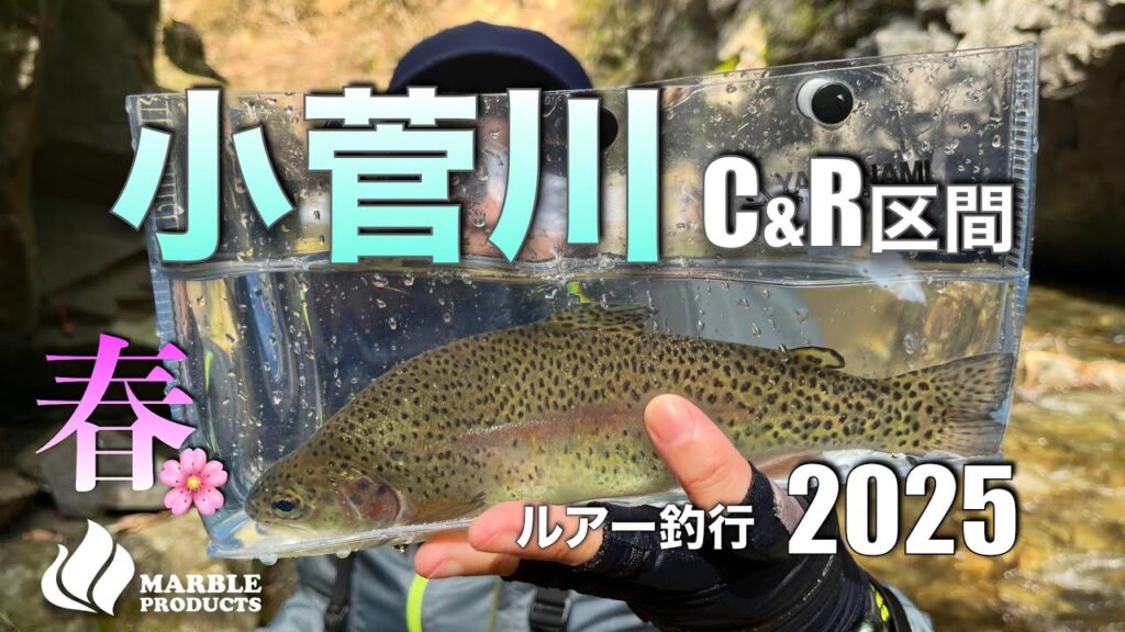 【小菅川C &R区間】で渓流ルアー釣行/ぶっといニジマス発見/果たして小菅ヤマメは釣れたのか？今年もポンコツアングラーコンビが挑みます【キャッチアンドリリース】【ヤマメ】【イワナ】