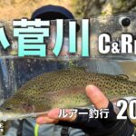【小菅川C &R区間】で渓流ルアー釣行/ぶっといニジマス発見/果たして小菅ヤマメは釣れたのか？今年もポンコツアングラーコンビが挑みます【キャッチアンドリリース】【ヤマメ】【イワナ】