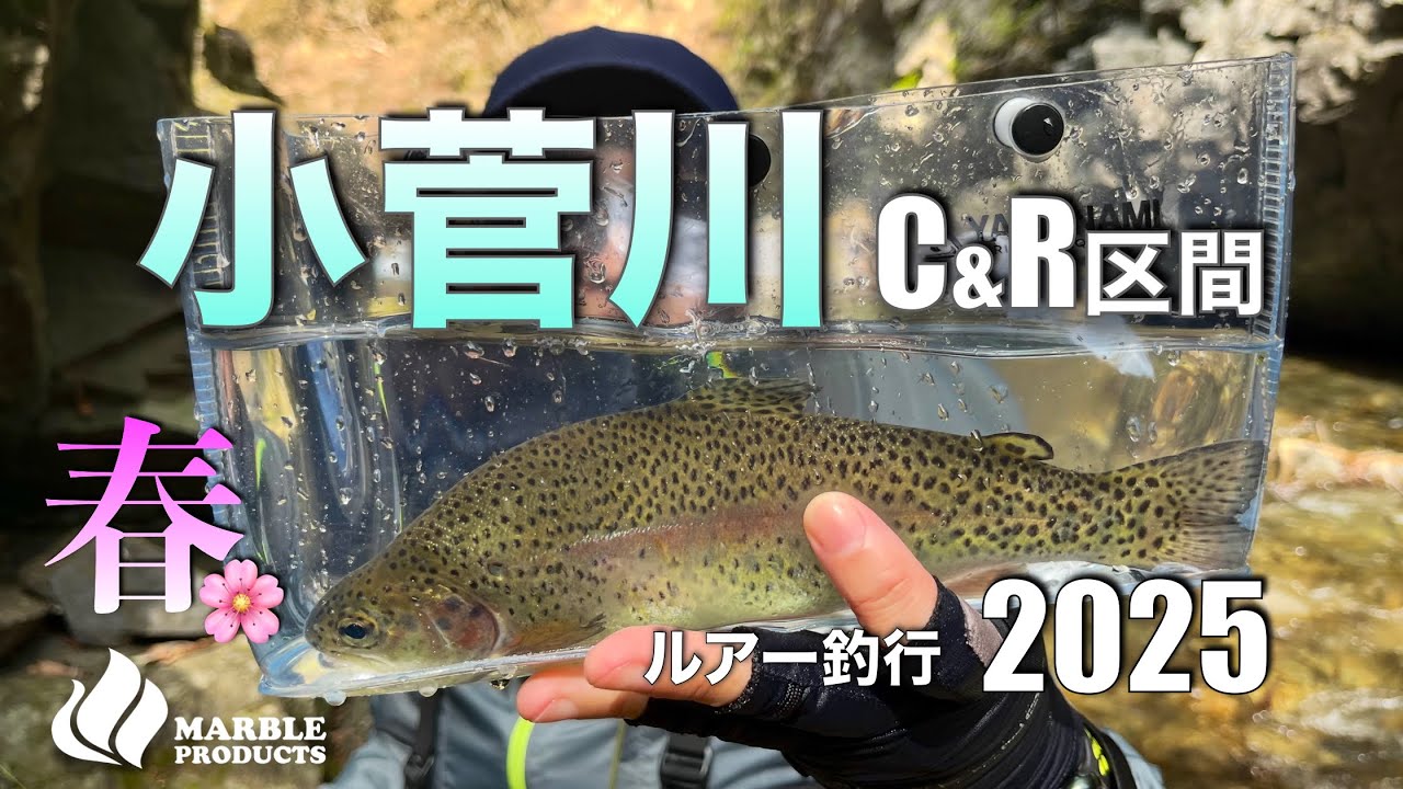 【小菅川C &R区間】で渓流ルアー釣行/ぶっといニジマス発見/果たして小菅ヤマメは釣れたのか?今年もポンコツアングラーコンビが挑みます【キャッチアンドリリース】【ヤマメ】【イワナ】