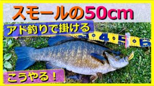 【アド釣り】 猪苗代湖 Day 2-2, スモールマスス 50cm, バス 50アップゲットの回