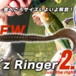 【三島湖バス釣り】イージー・ラボE’zRinger2.8”紹介