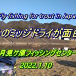 真冬もドライが面白い！ ライズ頻発の 管理釣り場 で フライフィッシング ＼( 'ω')／ 【 Fly fishing 月見ケ原フィッシングセンター 岐阜県 長良川 】