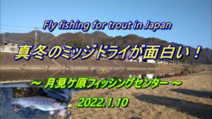 真冬もドライが面白い！ ライズ頻発の 管理釣り場 で フライフィッシング ＼( 'ω')／ 【 Fly fishing 月見ケ原フィッシングセンター 岐阜県 長良川 】